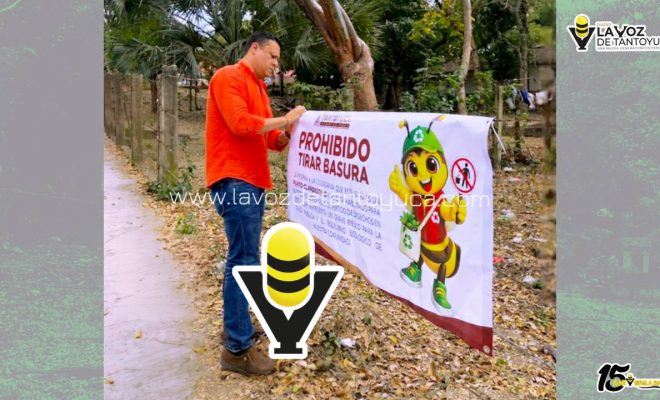 photo_5030521922399177668_y