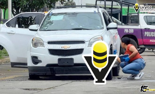 photo_5030545669273357210_y