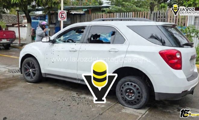 photo_5030545669273357211_y