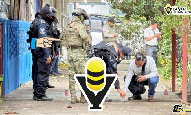 photo_5030545669273357212_y