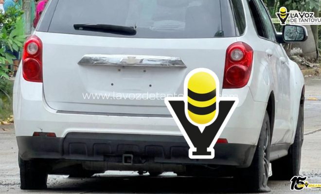 photo_5030545669273357213_y