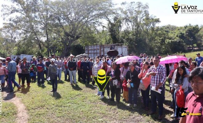 photo_5030702650328026015_y