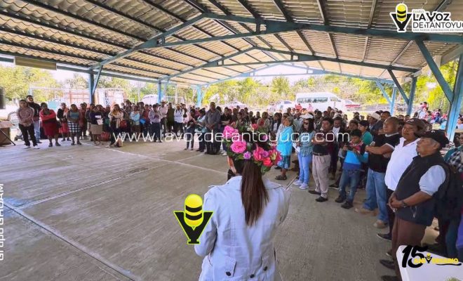 photo_5030702650328026017_y