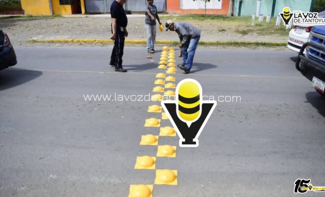 photo_5032773722212862849_y