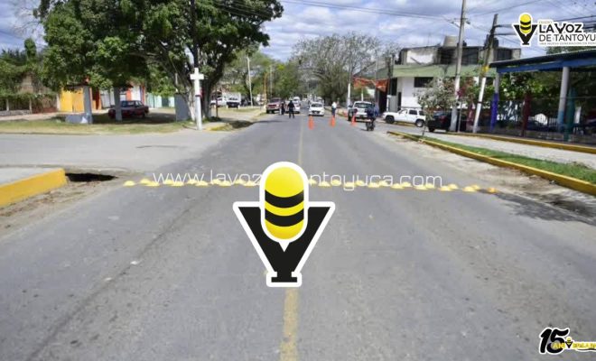 photo_5032773722212862851_y