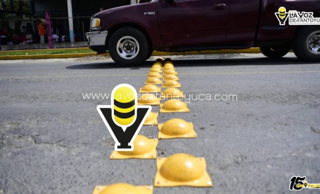 photo_5032773722212862852_y