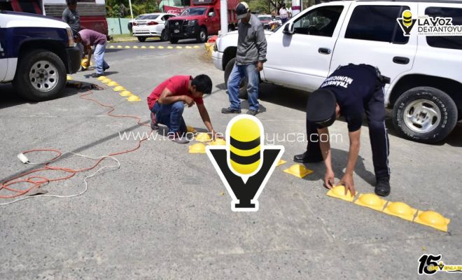 photo_5032773722212862853_y