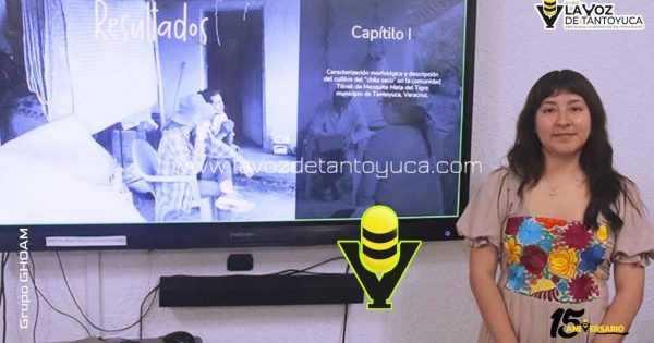 Investigación revela valor biocultural del Chile Seco en Tantoyuca