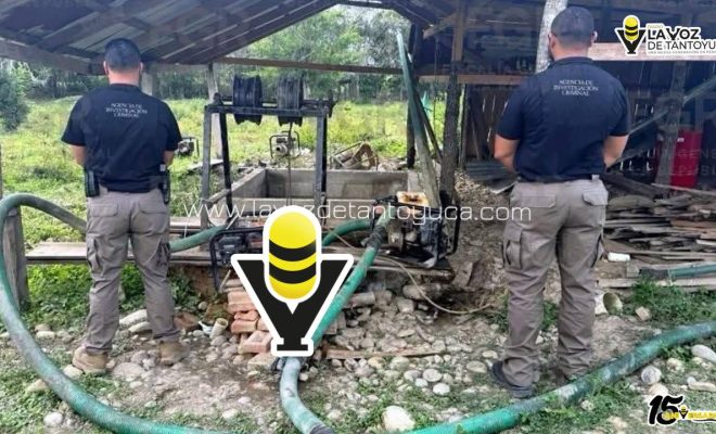 photo_5035025522026548062_y (1)