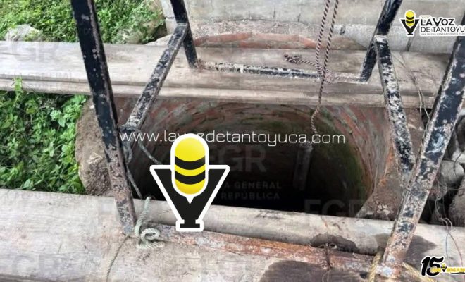 photo_5035025522026548063_y