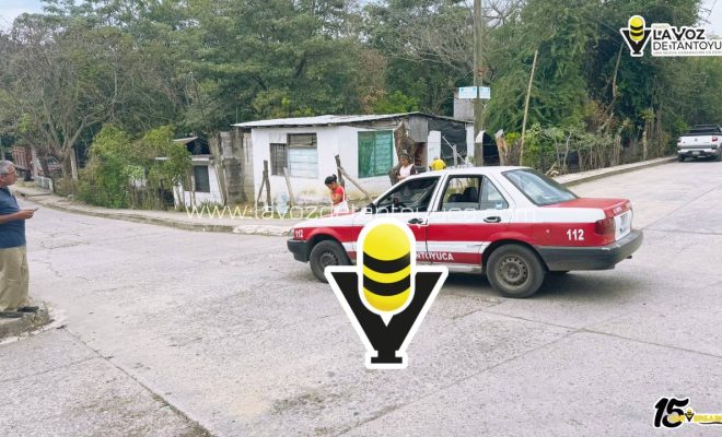 photo_5035025522026548111_y