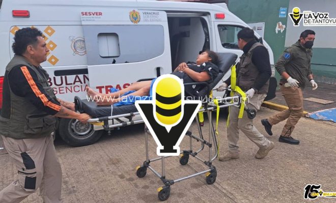 photo_5035025522026548143_y