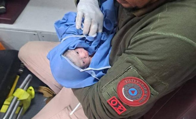 photo_5035025522026548145_y