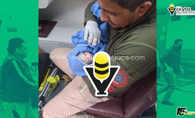 photo_5035025522026548146_y