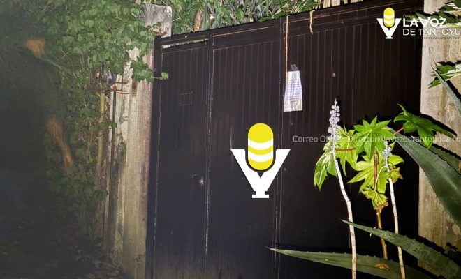 photo_5035572443162020641_y