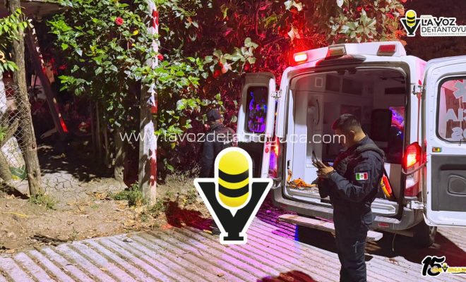 photo_5037331902284631011_y photo_5037331902284631011_y