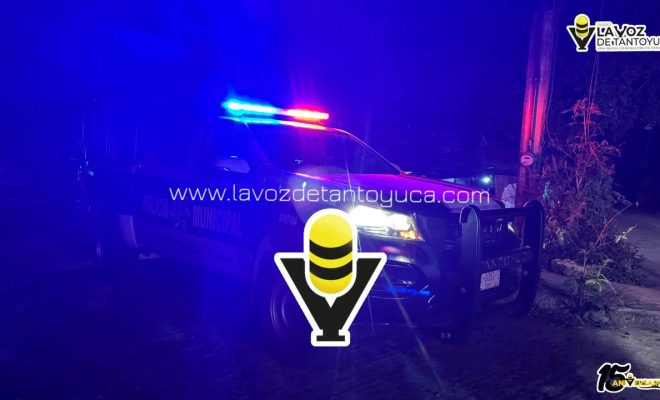 photo_5037331902284631012_y photo_5037331902284631012_y