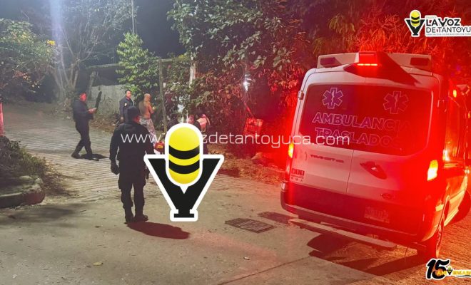 photo_5037331902284631013_y photo_5037331902284631013_y