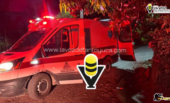 photo_5037331902284631014_y photo_5037331902284631014_y