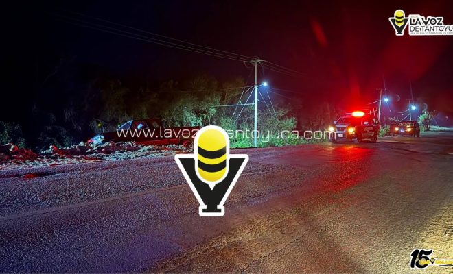 photo_5037331902284631021_y photo_5037331902284631021_y