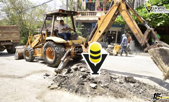 photo_5037369929925069786_y