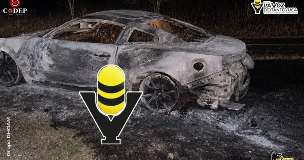 Se incendia automóvil deportivo Mustang sobre carretera estatal en Álamo