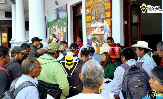 photo_5039621729738755161_y photo_5039621729738755161_y