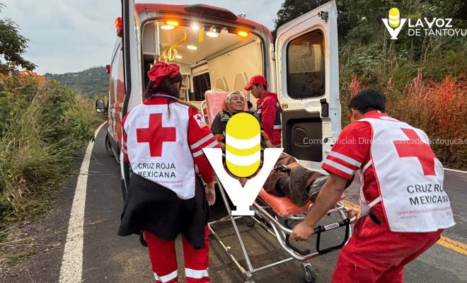 photo_5039694396290435945_w photo_5039694396290435945_w