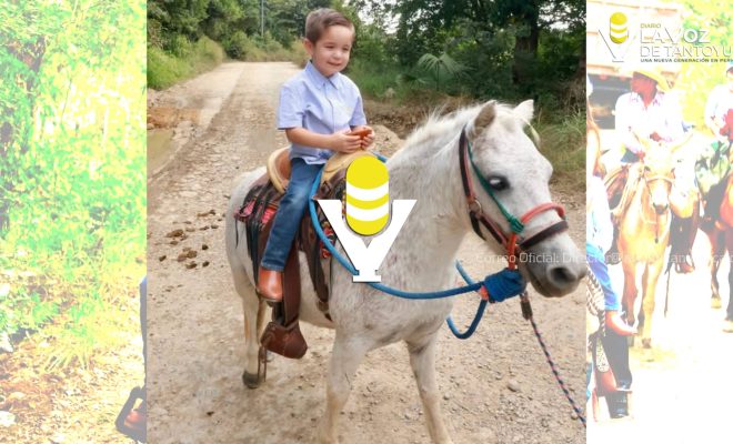 photo_5039694396290435966_w photo_5039694396290435966_w