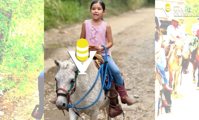 photo_5039694396290435967_w photo_5039694396290435967_w