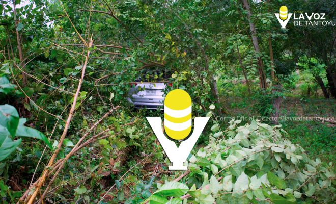 photo_5044050712899291945_w