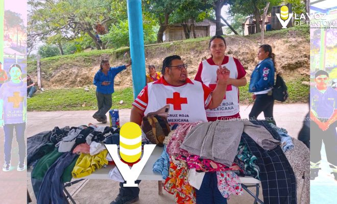 photo_5044050712899292021_w