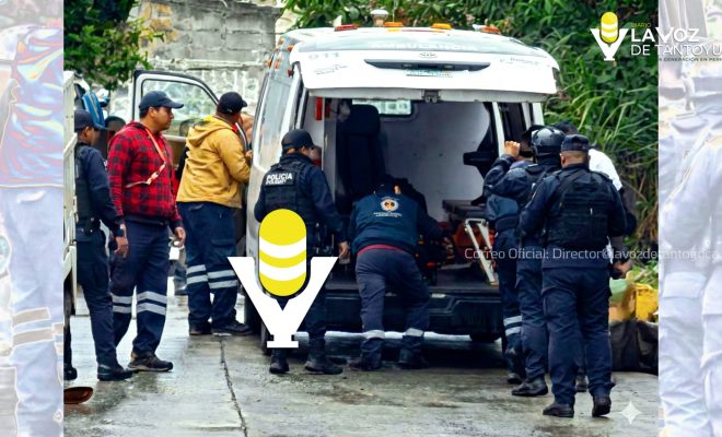 photo_5044050712899292027_w