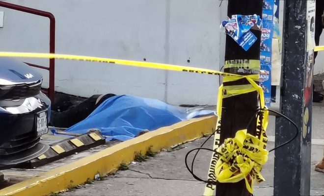 photo_5046302512712977154_w photo_5046302512712977154_w