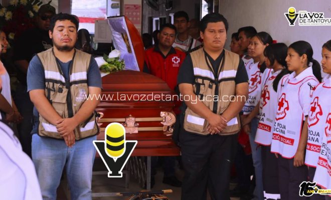 photo_5046555932963310611_y