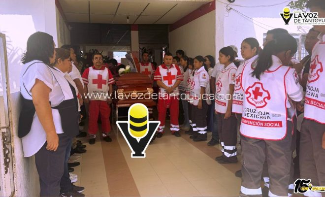 photo_5046555932963310614_y