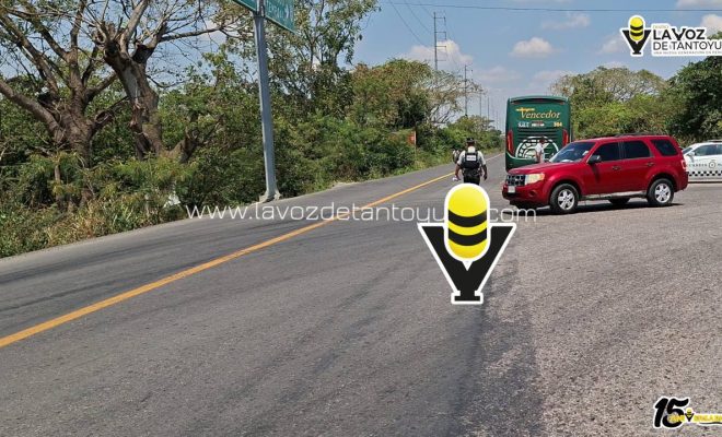 photo_5046555932963310617_y