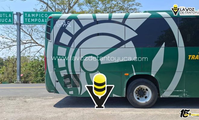 photo_5046555932963310618_y