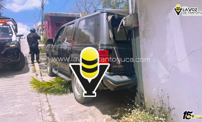 photo_5048989976829299741_y