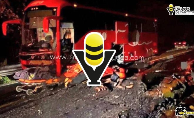 photo_5053074503612697611_y