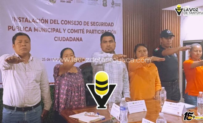 photo_5053074503612697750_y