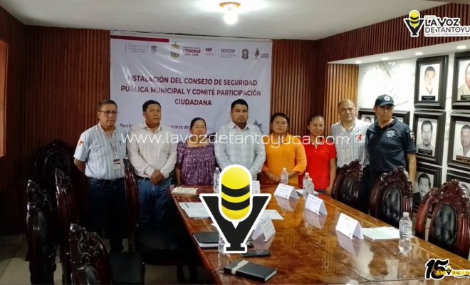 photo_5053074503612697751_y