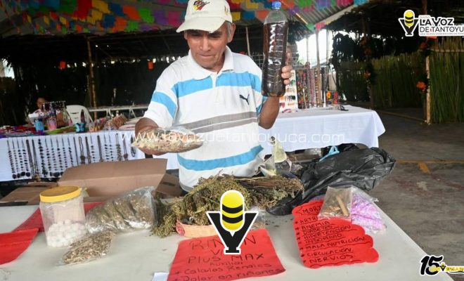 photo_5055326303426382712_y