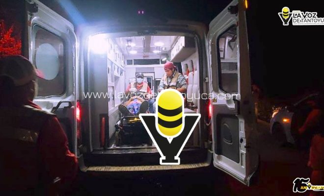 photo_5055326303426382736_y