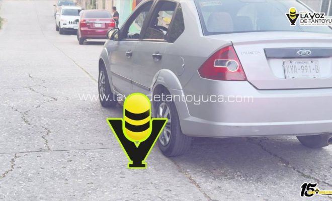 photo_5060198982478400360_y