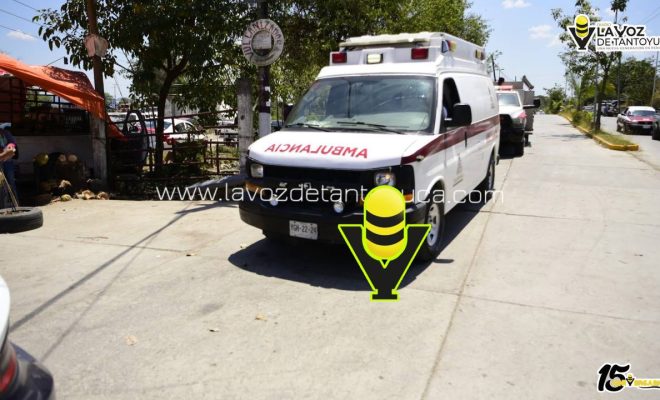 photo_5060198982478400368_y