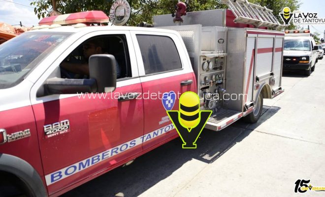 photo_5060198982478400369_y