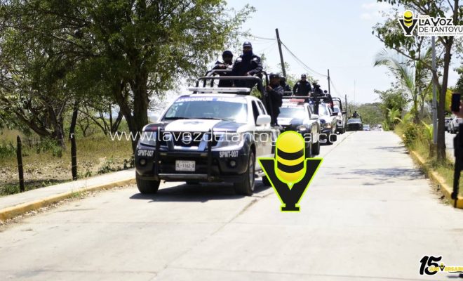 photo_5060198982478400370_y