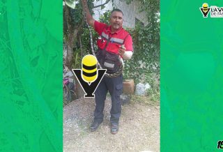 Bomberos capturan culebra en una vivienda