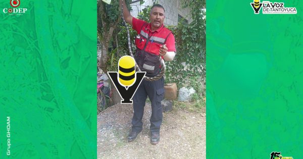 Bomberos capturan culebra en una vivienda
